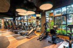 KIRMAN PREMIUM CALYPTUS RESORT-SPA Activities